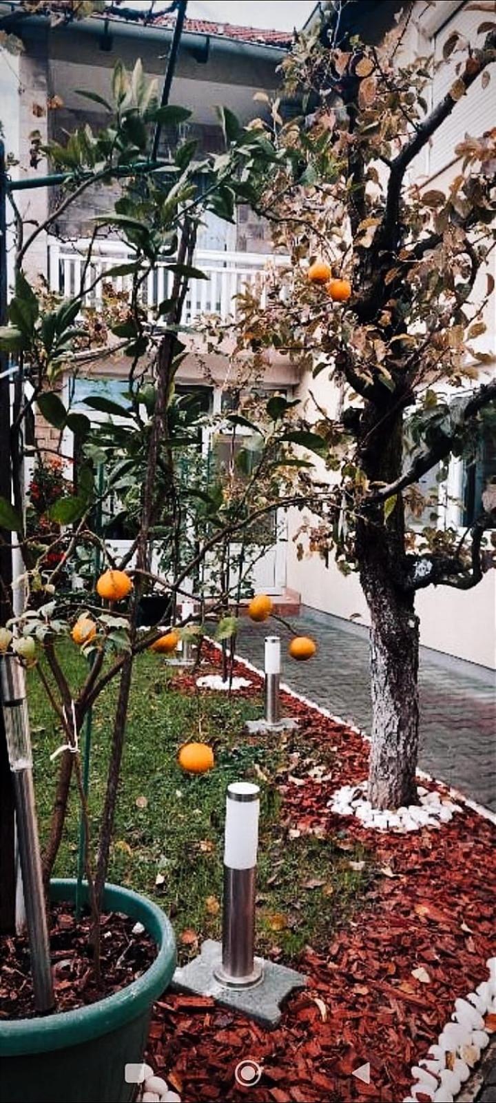 Soba Luic Διαμέρισμα Zupanja Εξωτερικό φωτογραφία